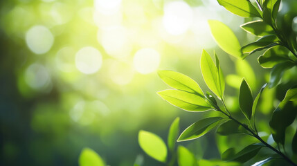 Obraz premium Lush green leaves with soft blurred background create serene atmosphere, perfect for sustainability themes and nature inspired projects