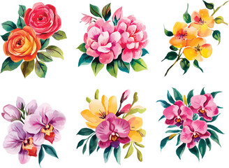 Watercolor set of garden flowers hand drawn illustration.  Botanical illustration, spring flowers floral set.