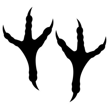 eagle footprint,  Eagle bird footprint.