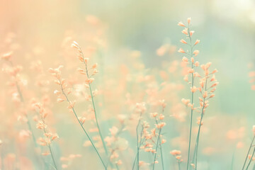 A fresh, pastel blurred background blending soft peach, mint, and yellow tones for a trendy and minimalistic look