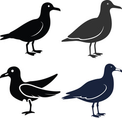 High-Quality Seagull Bird Silhouette Vector Perfect for Logos.
