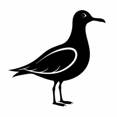 Seagull Bird Silhouette Vector Icon White Background