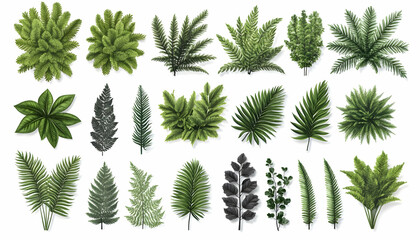 Tropical foliage collection leaves, ferns, plants. Ideal for design projects