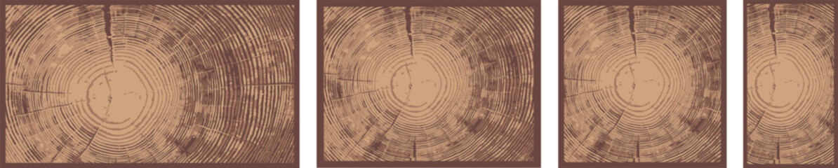 Decorative Wood Cross-Section Vector Textures – Nature-Inspired Backgrounds
