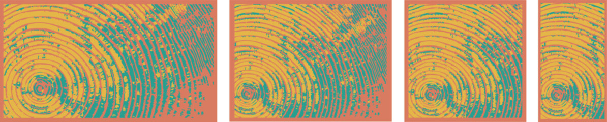 Decorative Wood Cross-Section Vector Textures – Nature-Inspired Backgrounds
