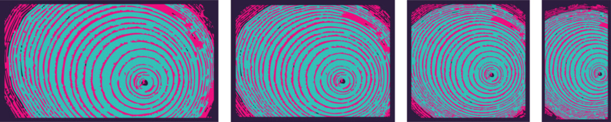 Decorative Wood Cross-Section Vector Textures – Nature-Inspired Backgrounds
