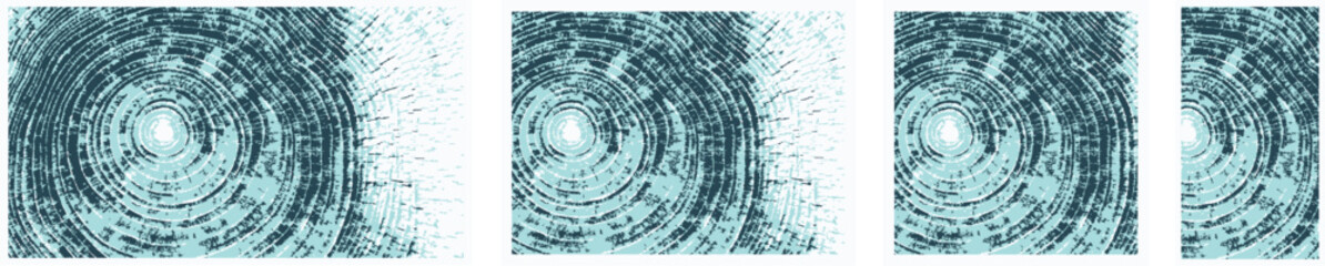 Vector Wood Grain Ring Prints Set &ndash; Cross-Section Tree Trunk Backgrounds for Cards and Banners