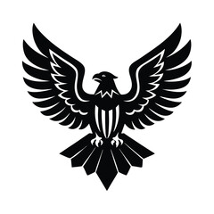 Obraz premium eagle with wings