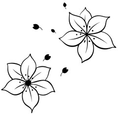 floating-cherry-blossom-petals-divider-with-grace