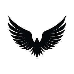 Obraz premium eagle with wings