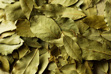Close up of green bay leaves. 