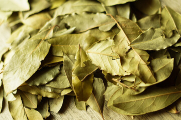 Close up of green bay leaves. 