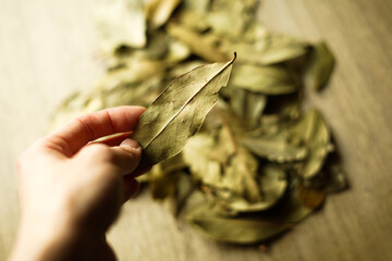 Close up of green bay leaves. 