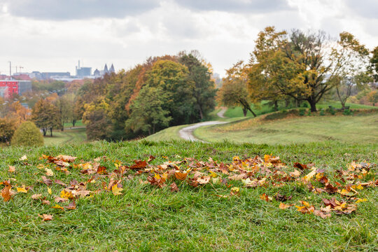 Park landscape in the fall with turning trees and grass.