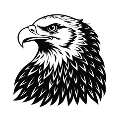 eagle vector illustration