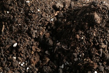 Texture of fresh soil as background, closeup