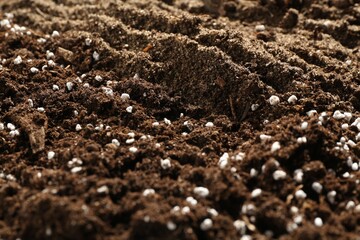 Texture of fresh soil as background, closeup