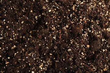 Texture of fresh soil as background, closeup