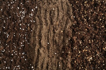 Texture of fresh soil as background, closeup