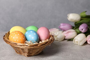 Easter eggs in wicker basket and beautiful tulips on grey table, closeup