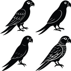 Stylized Parrot Bird Vector Icon Set for Digital & Print Projects