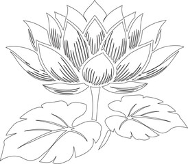 Fototapeta premium Lotus flower silhouette logo. Set black lotus symbol isolated on white background. Lotus vector icon, sign yoga and meditation for spa salon
