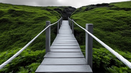 Obraz premium Rope bridge adventure across the wilderness