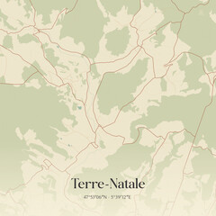 Obraz premium Vintage map of Terre-Natale, France.