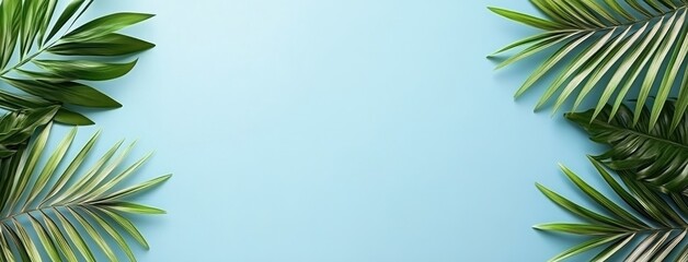 Light blue backdrop with palm tree shadows in an empty room offers a serene setting for showcasing summer products and designs