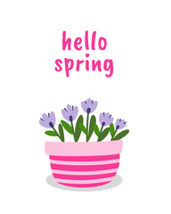 Cute vector illustration Hello Spring with a spring floral pink basket. Scrapbooking, greeting card, poster, tag. EPS10
