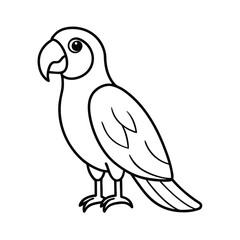 parrot on white background