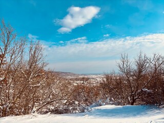 winter landscape with trees