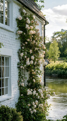 A white brick house with climbing roses, in front of the river
