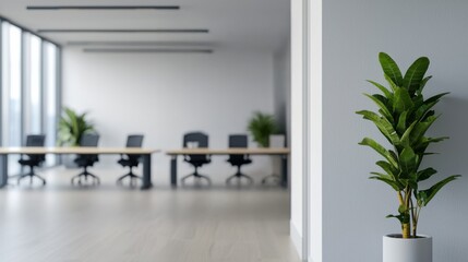 Fototapeta premium A modern office interior featuring a potted plant in the foreground and a conference table with chairs in the background.