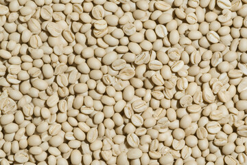 Fototapeta premium The Essence of Coffee: Raw, unroasted coffee beans, the foundation of a beloved beverage, create a textured, close-up composition, celebrating their natural beauty. 