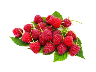 Ripe raspberries on a leaf.