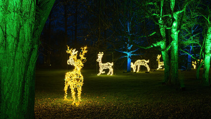 Christmas Garden - light creations at the Island of Mainau, lake Constance
