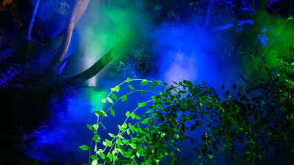 Christmas Garden - abstract light creations at the Island of Mainau, lake Constance