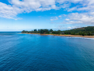 Serene aerial view of Kauai island's coastline featuring golden sandy beach, vibrant blue ocean, lush greenery, scattered trees, and rolling hills.