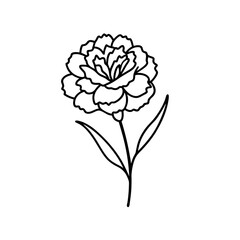 This captures the essence of the flowers in line art and black-and-white style