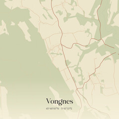 Vintage map of Vongnes, France.