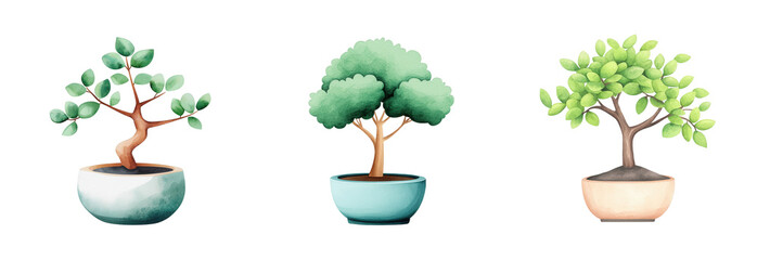 Three Distinctive Cartoon Style Potted Trees for Gardening Themes