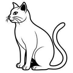 black cat vector illustration
