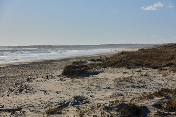Clear Sand dune grassy pathway