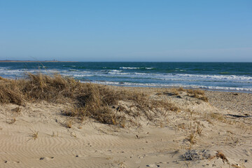 Clear Sand dune grassy pathway