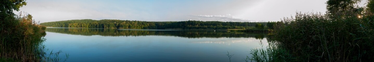 Panoramic view of a lake with lush coastal vegetation on a sunny summer day.