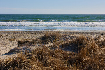 Clear Sand dune grassy pathway