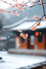 Beautiful cherry blossom flower and vintage building in Spring.