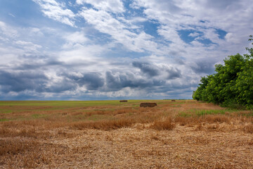 Fototapeta premium Harvested field with hay bales under a dramatic cloudy sky 