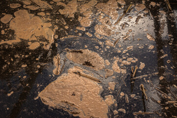 Dirty water filled with organic compounds